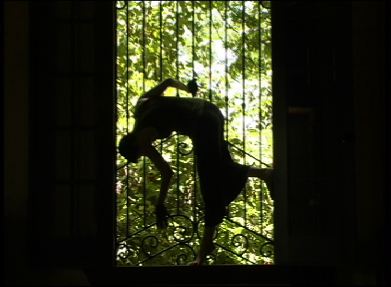 Window Dance